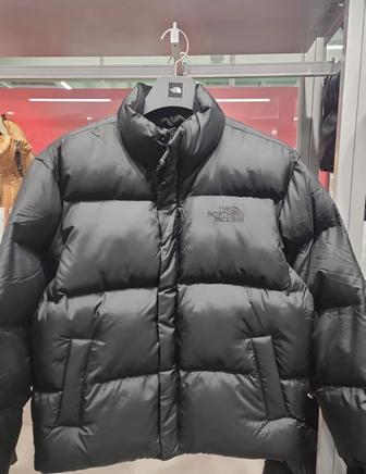 Последние 2 зимние куртки TheNorthFace, оригинал