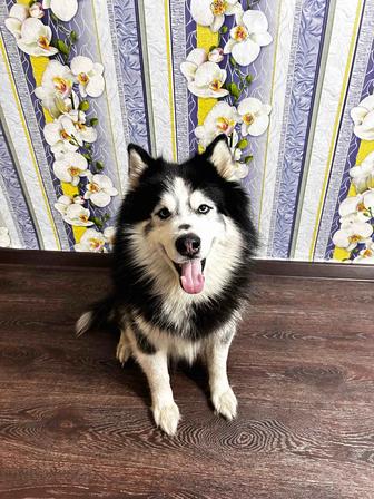 Кабель для вязки