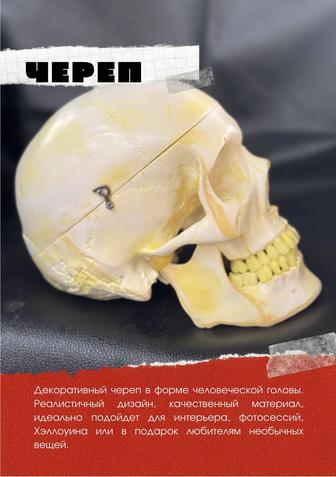 Декоративный череп