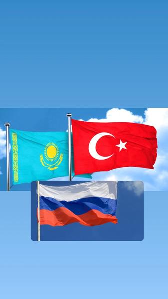 Переводчик