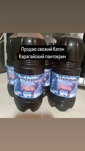 Продаю пантокрин Катон Карагайский