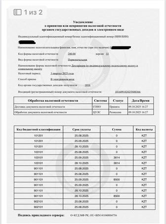 Сопровождение ИП. Декретные. Налоговые отчетности