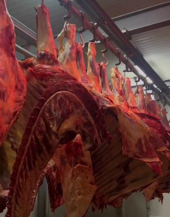 Халал.Мясо конины ,баранина,говядина ,согым под ключ