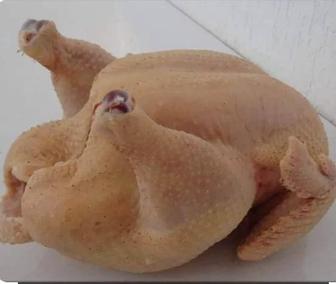 Домашняя тушка бройлера