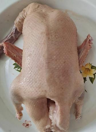Продам домашних уток ( мясо)