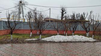 Садовые услуги