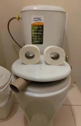 Белый трон (унитаз)