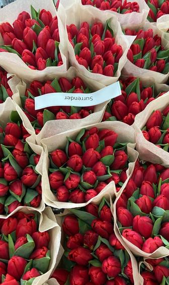 ТЮЛЬПАНЫ РАСПРОДАЖА! 
Белорусский и Голландский!!!
