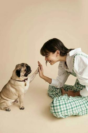 Зооняня. Няня для питомцев