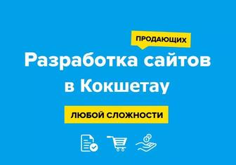 Сайт за 3 дня без предоплаты в Кокшетау. Создание логотипа. Реклама Google.