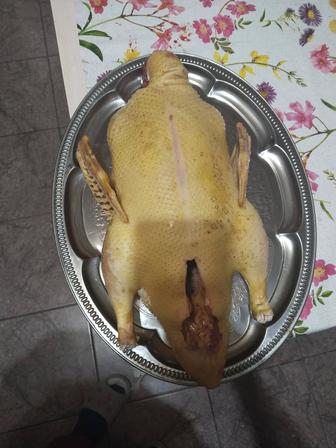 Маринованная утка