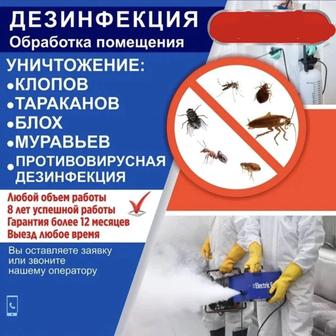 Дезинфекция! Дератизация !
