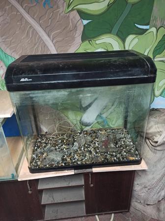 Продам заводской аквариум 200л