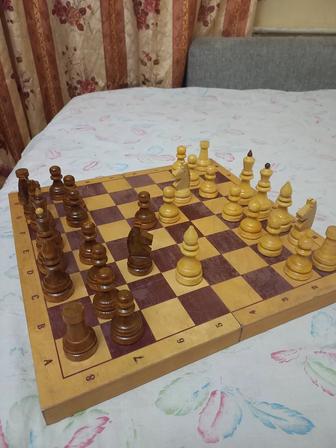 УРОКИ ШАХМАТ