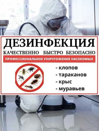 Дезинфекция уничтожение тараканов клопов грызуны крысы