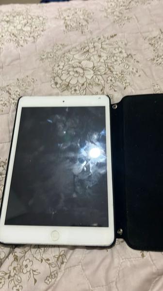 iPad mini