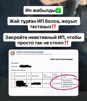 Ип отчет, ип ашу, ип жабу, ип жүргізу