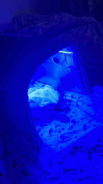 Фотолампа Maineng