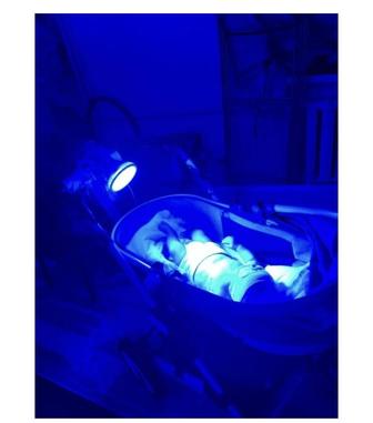 Светодиодная лампа, автолампа светодиодная , фитолампа светодиодная