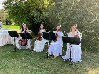 Музыканты для мероприятия