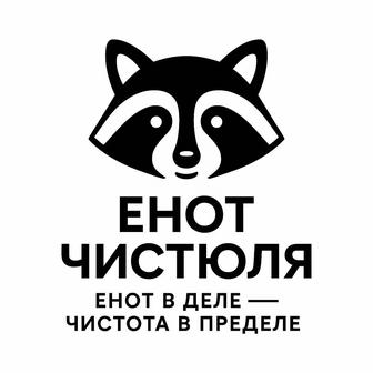 Енот клининговая компания