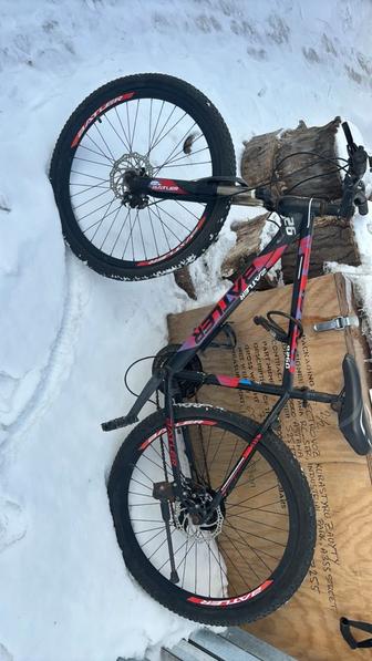 Ведоспид батлер