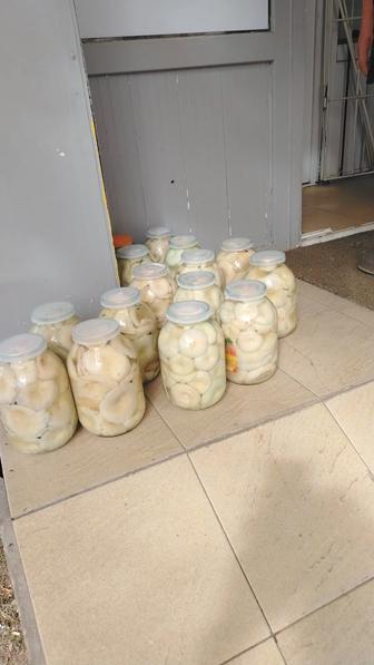 Грузди соленые, варенно-маринованные