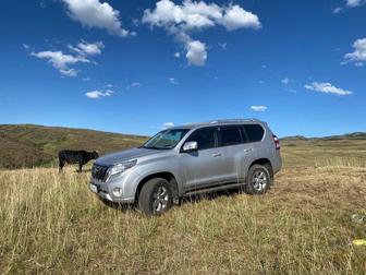 Личный семейный водитель