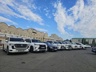 Услуги по прокату автомобилей класса люкс