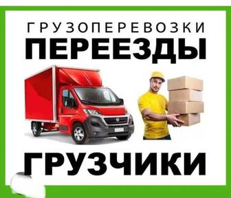 Грузчики