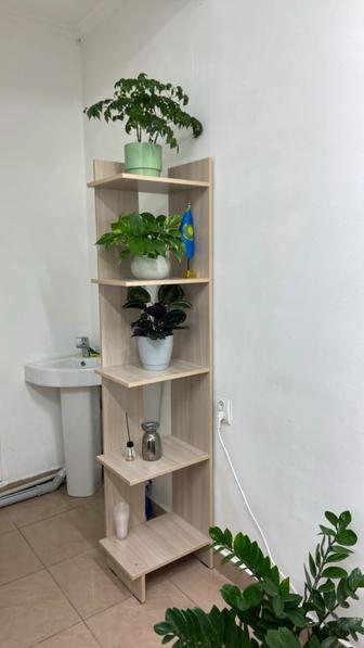 Рабочий стол, кресло, стул, стойка с полками