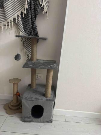 Кошачий домик