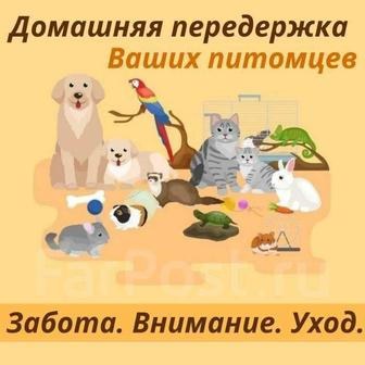 Зоо гостиница или домашняя передержка Ваших питомцев