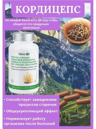 Кордицепс тяньши