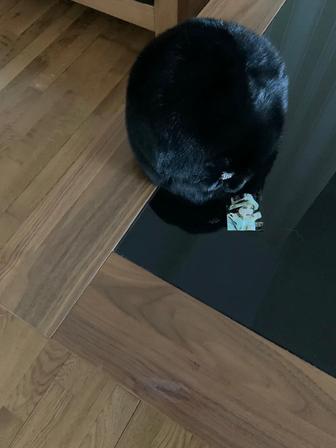 Норкавая шапка