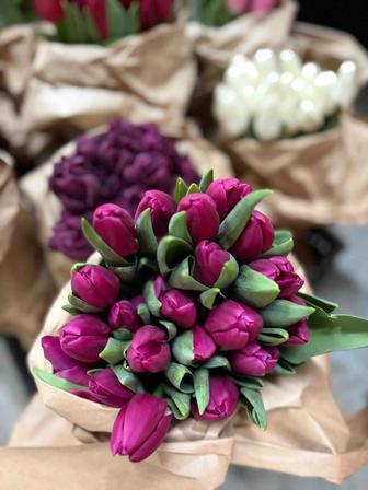 Тюльпаны оптом и в розницу