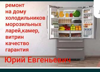 Ремонт холодильников на дому у клиента, в течении часа.