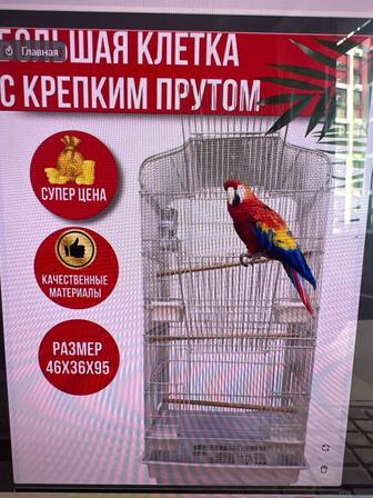 Клетка для попугая