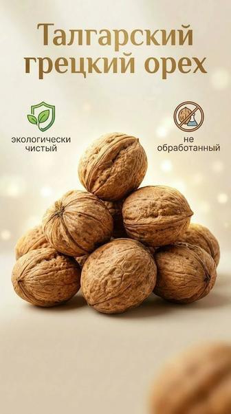 Талгарский грецкий орех