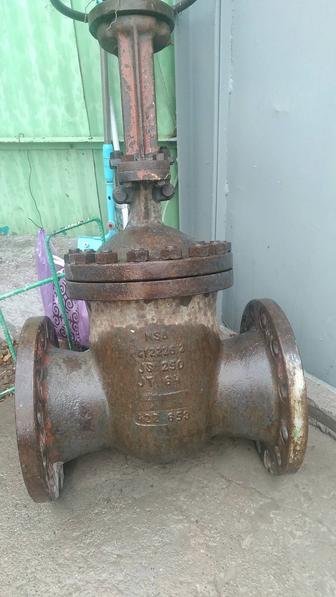 Задвижка стальная Д250х64