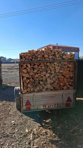 Дрова береза