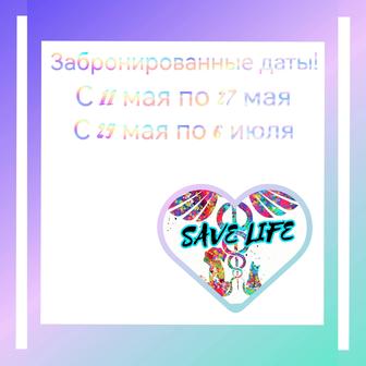 Домашняя передержка животных,зооняня,зоогостиница(птицы,кошки,собаки и т.д)