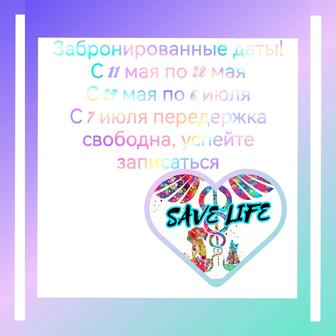 Домашняя передержка животных,зооняня,зоогостиница(птицы,кошки,собаки и т.д)