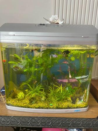 Продается заводской аквариум JEBO