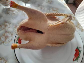 Продается гусиное мясо