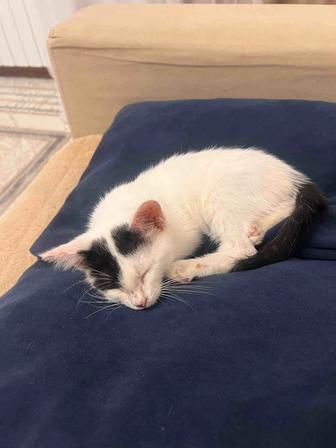 Ищем родителей для малютки