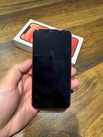 iPhone 12
