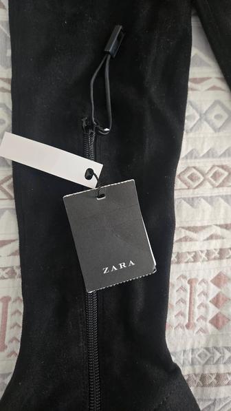 Демисезонные ботфорты