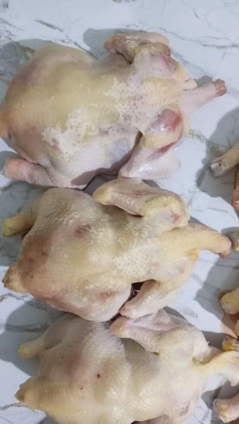 Бройлерная курица