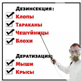 Дезинфекция от клопов тараканов, блох. Гарантия! Договор! Результат 100%